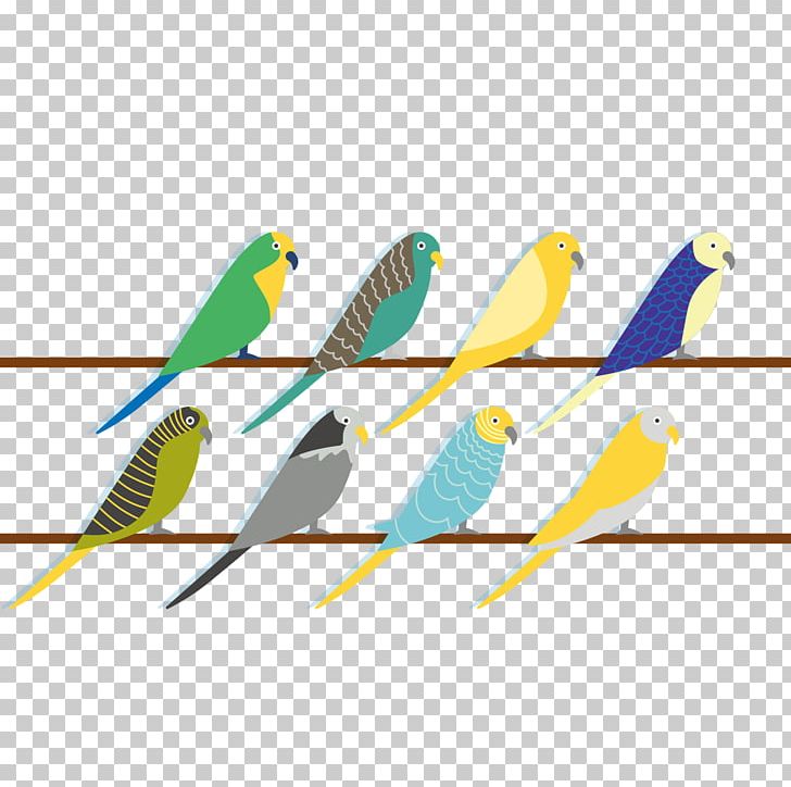 Budgerigar Parrot Bird PNG, Clipart, Adobe Illustrator, Animals, Art, Common Pet Parakeet, Encapsulated Postscript Free PNG Download