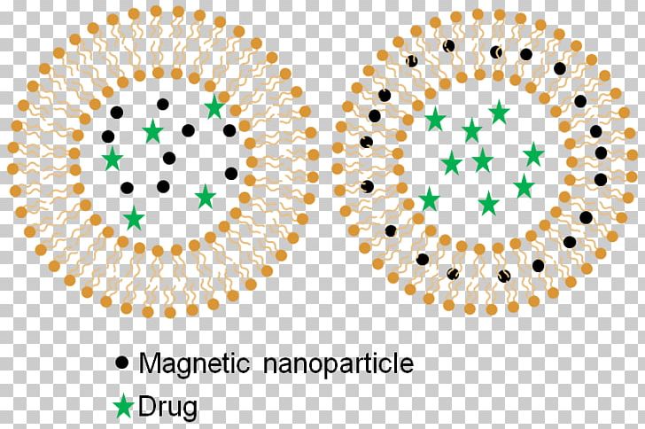 Drug Delivery Hyperthermie Magnétique Research Hyperthermia Therapy Magnetic Nanoparticles PNG, Clipart, Area, Circle, Diagram, Drug, Drug Delivery Free PNG Download