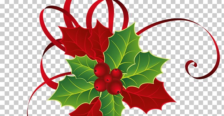 Mistletoe Christmas Phoradendron Tomentosum PNG, Clipart, Aquifoliaceae, Aquifoliales, Artwork, Christmas, Christmas Gift Free PNG Download