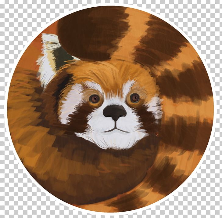 Red Panda Whiskers Giant Panda Fur Snout PNG, Clipart, Bear, Carnivoran, Fur, Giant Panda, Mammal Free PNG Download