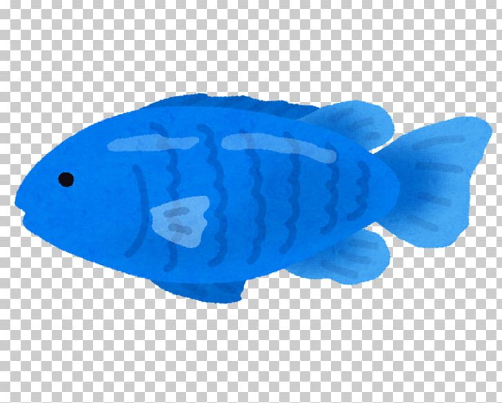 Threespot Dascyllus Whitetail Dascyllus Blue Devil Chromis Notata Fish PNG, Clipart,  Free PNG Download