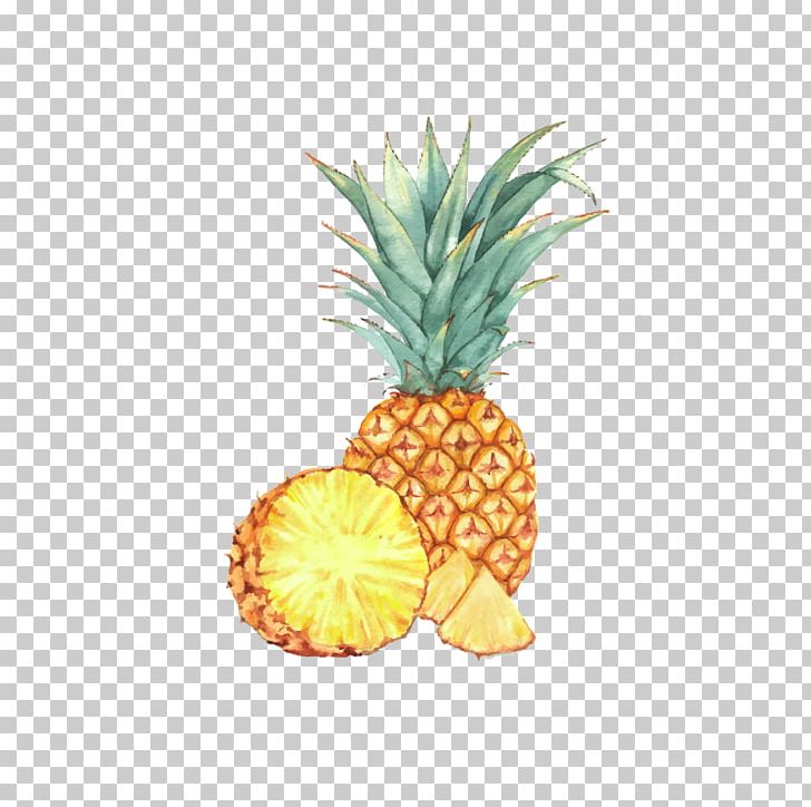 Watercolor Painting Fruit Drawing Illustration PNG, Clipart, Ananas, Creative Market, Encapsulated Postscript, Food, Fruit Nut Free PNG Download