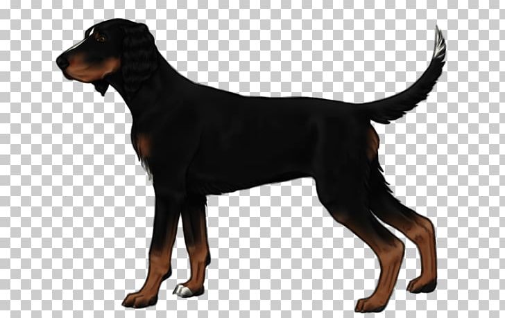 Dobermann Black And Tan Coonhound Greek Harehound Austrian Black And Tan Hound German Pinscher PNG, Clipart, Austrian Black And Tan Hound, Carnivoran, Dobermann, Dog, Dog Breed Free PNG Download