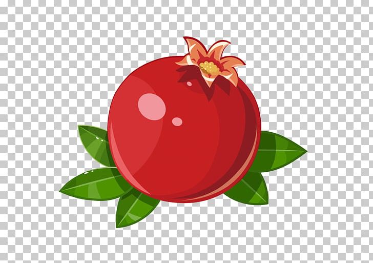 Pomegranate Frutti Di Bosco Fruit Illustration PNG, Clipart, Car, Cartoon, Encapsulated Postscript, Food, Fruit Nut Free PNG Download