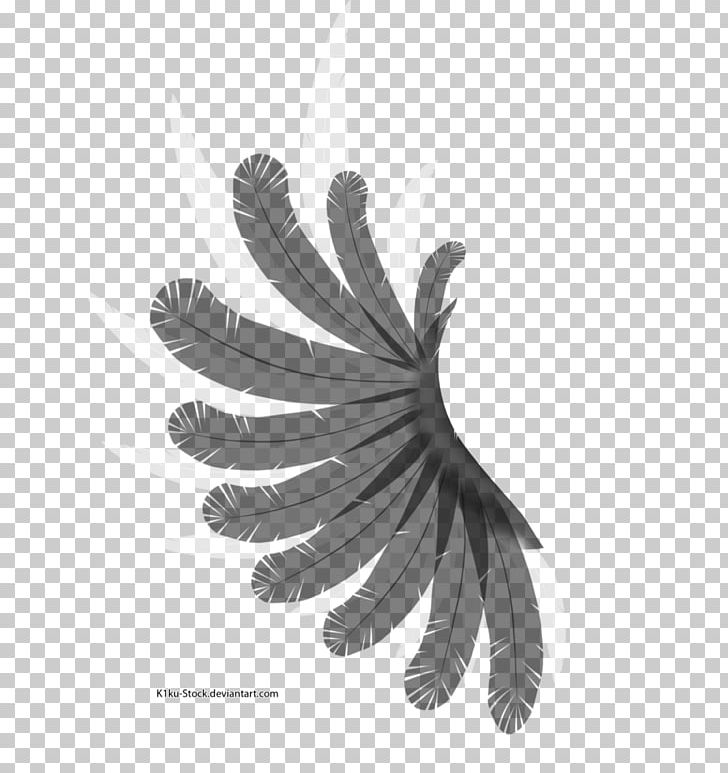 Wing Black And White Feather Bird PNG, Clipart, Animals, Art, Bird, Black And White, Butterfly Free PNG Download