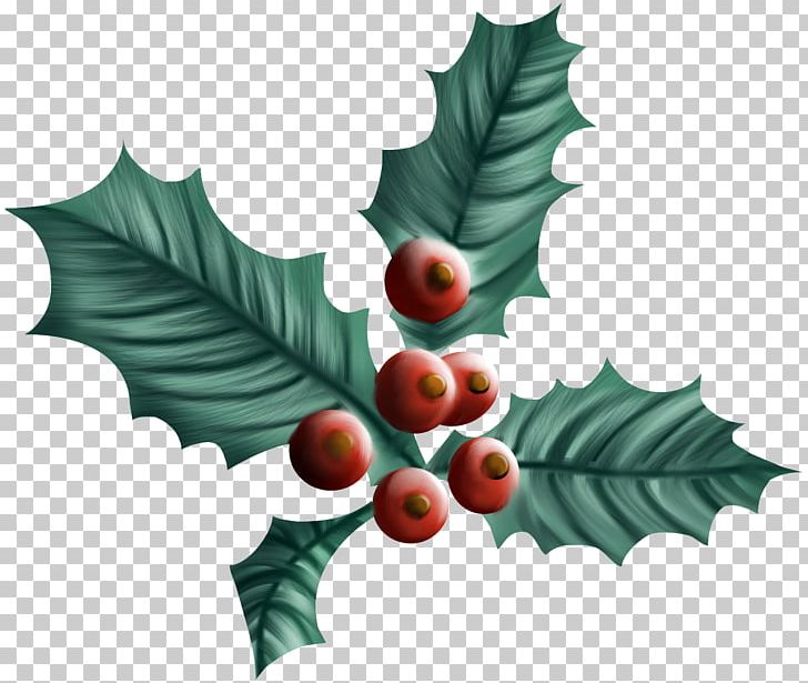 Common Holly Christmas Drawing Aquifoliales Plant PNG, Clipart, Aquifoliaceae, Aquifoliales, Christmas, Christmas Tree, Common Holly Free PNG Download