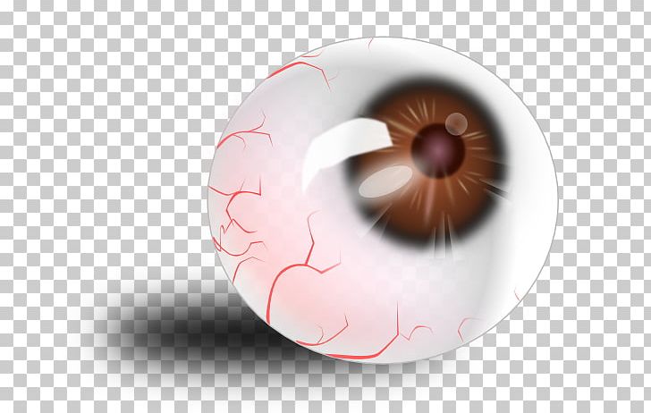 Human Eye PNG, Clipart, Anatomy, Cartoon, Cartoon Eyeball, Circle, Clip Art Free PNG Download