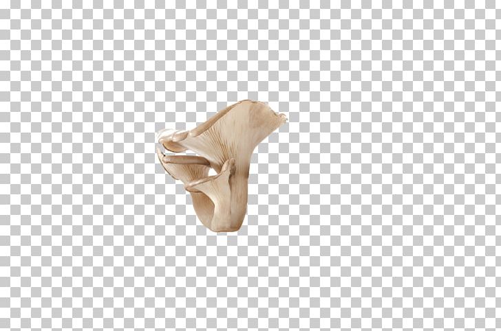 Joint Beige PNG, Clipart, Beige, Bone, Ear, Edible, Edible Mushroom Free PNG Download