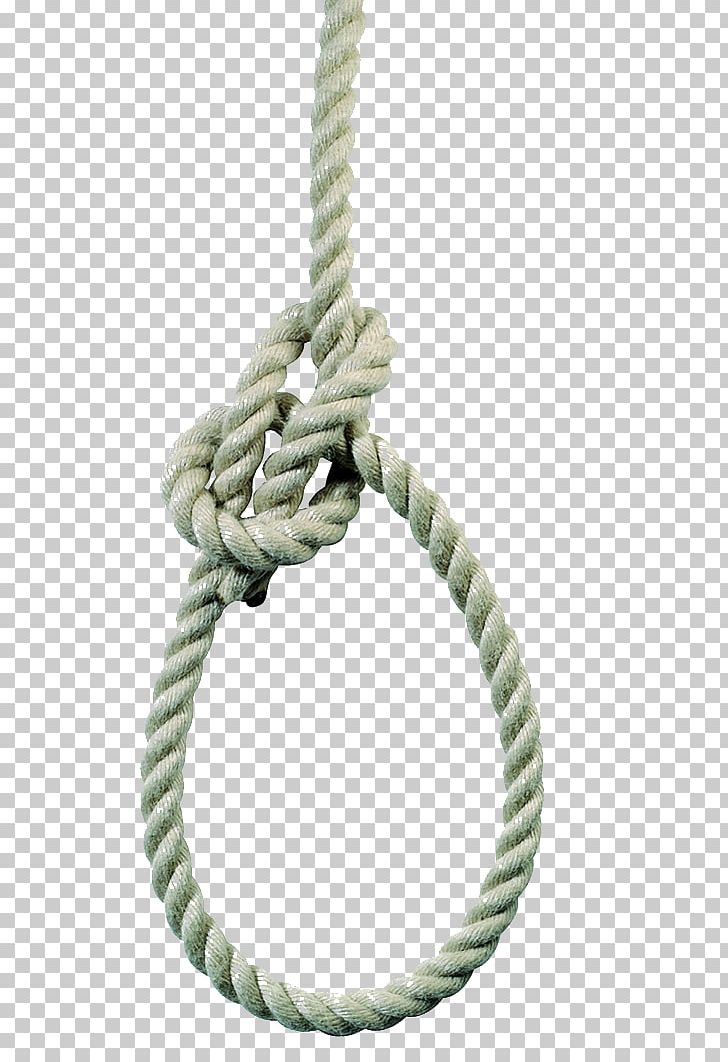 Rope Hanging Hemp PNG, Clipart, Bundle, Bundled, Euclidean Vector, Gratis, Hang Free PNG Download
