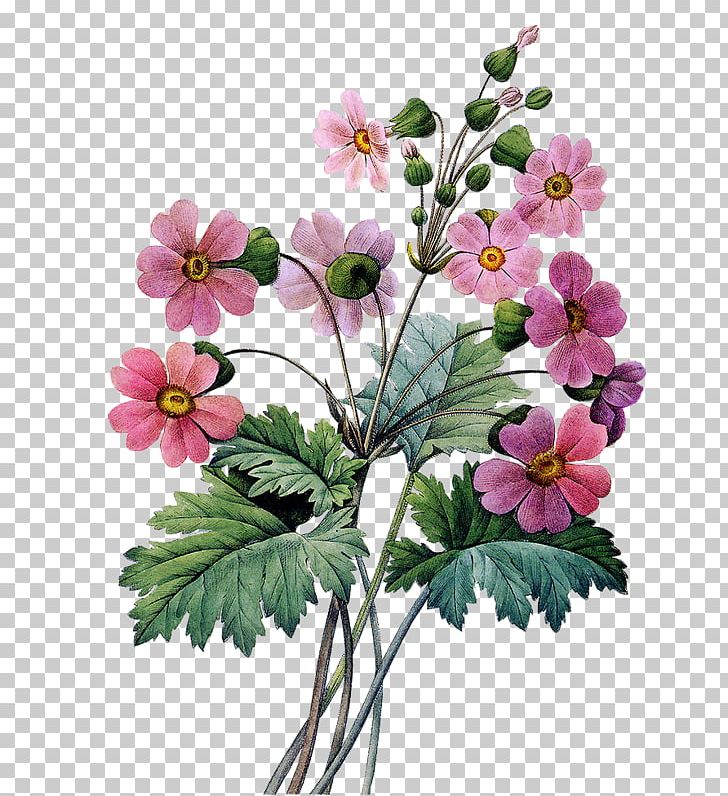 Abziehtattoo Flower Bouquet Floral Design PNG, Clipart, Abziehtattoo, Anemone, Annual Plant, Cut Flowers, Drawing Free PNG Download