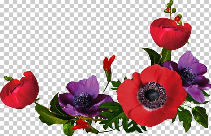 Flower PNG, Clipart, Anemone, Annual Plant, Cut Flowers, Digital Image, Floral Design Free PNG Download