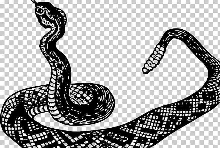 Rattlesnake Boa Constrictor PNG, Clipart, Anaconda, Animals, Black And White, Boa Constrictor, Boas Free PNG Download