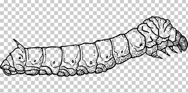 Butterfly Silkworm Insect Drawing PNG, Clipart, Angle, Arm, Artwork, Black And White, Bozzolo Free PNG Download