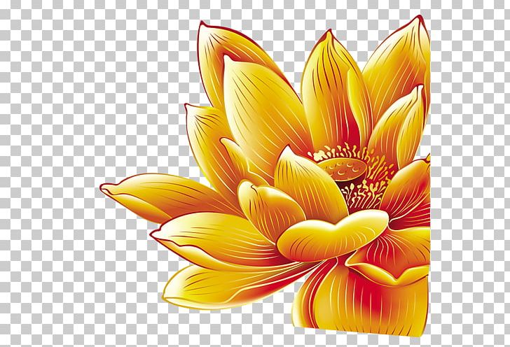 China Graphic Design PNG, Clipart, Adobe Illustrator, Christmas Decoration, Dahlia, Daisy Family, Decorative Elements Free PNG Download