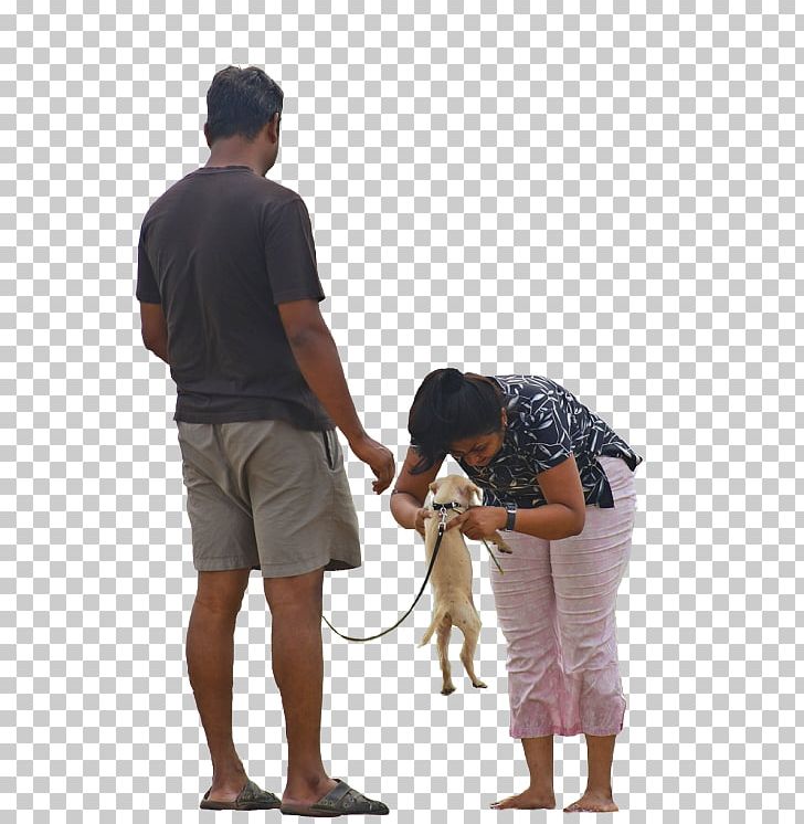 Dog Walking Pet Sitting PNG, Clipart, Animal, Animals, Arm, Child, Couples Free PNG Download