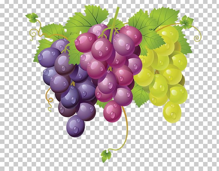 Sultana Grape International Availability Of Fanta PNG, Clipart, Draw, Food, Fruit, Grape, Grape Leaves Free PNG Download