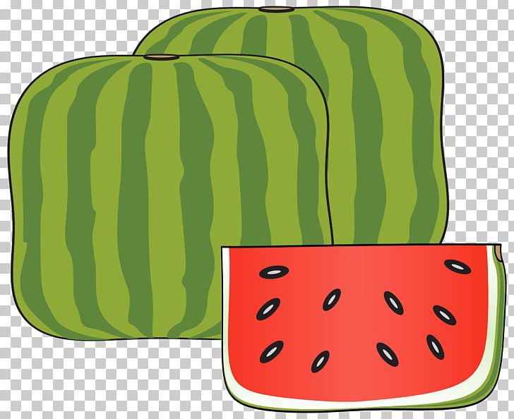 Watermelon Cucurbitaceae PNG, Clipart, Citrullus, Cucumber, Cucumber Gourd And Melon Family, Cucurbitaceae, Food Free PNG Download