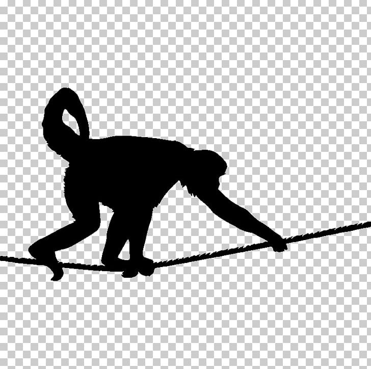 White-bellied Spider Monkey Stock Photography PNG, Clipart, Angle, Animals, Black, Black And White, Cat Like Mammal Free PNG Download