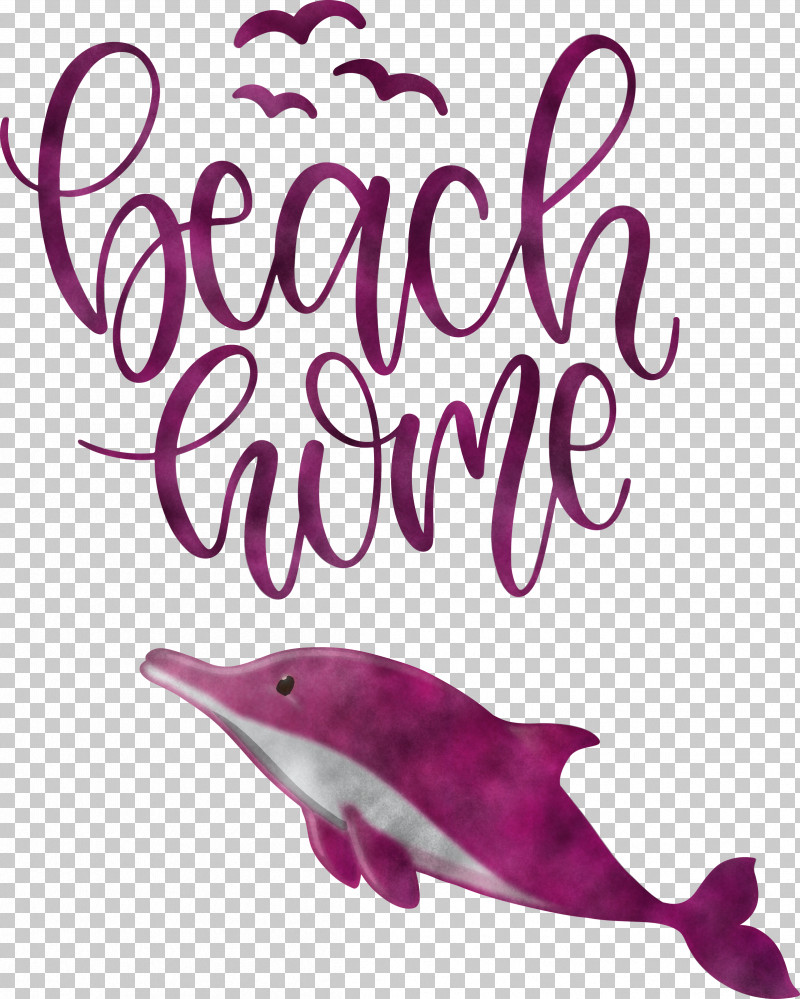 Beach Home PNG, Clipart, Beach Home, Biology, Dolphin, Meter, Science Free PNG Download