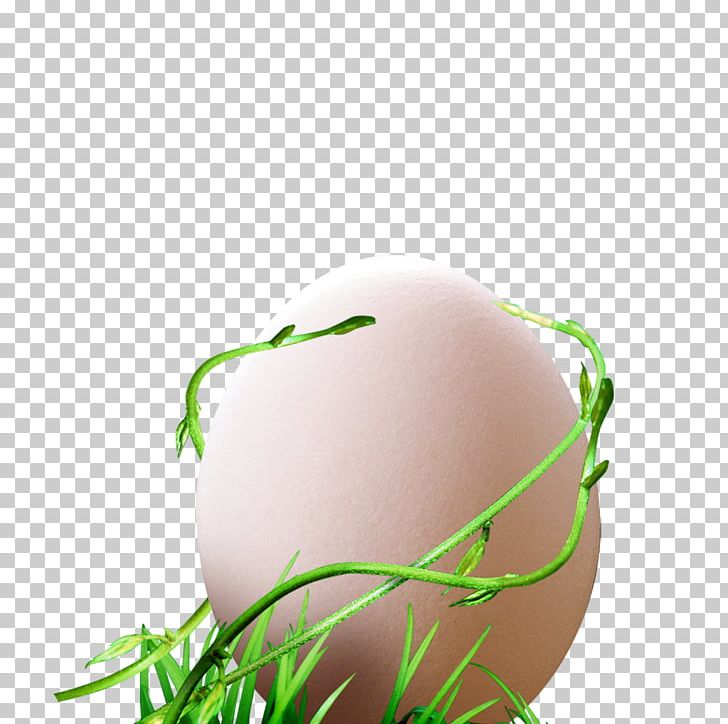 Egg Vine PNG, Clipart, Broken Egg, Computer Wallpaper, Designer, Download, Easter Egg Free PNG Download