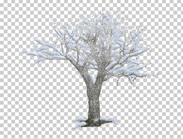 LiveInternet Tree Russia Quotation PNG, Clipart, Artistic Inspiration, Branch, Creativity, Frost, Liveinternet Free PNG Download