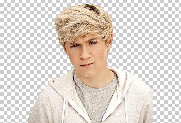 Niall Horan Mullingar The X Factor One Direction PNG, Clipart, Beige, Blond, Brown Hair, Chin, Drawing Free PNG Download