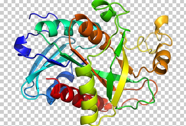RAB4A CD2AP Protein Gene PNG, Clipart, Area, Artwork, Cd2ap, Food, Gene Free PNG Download