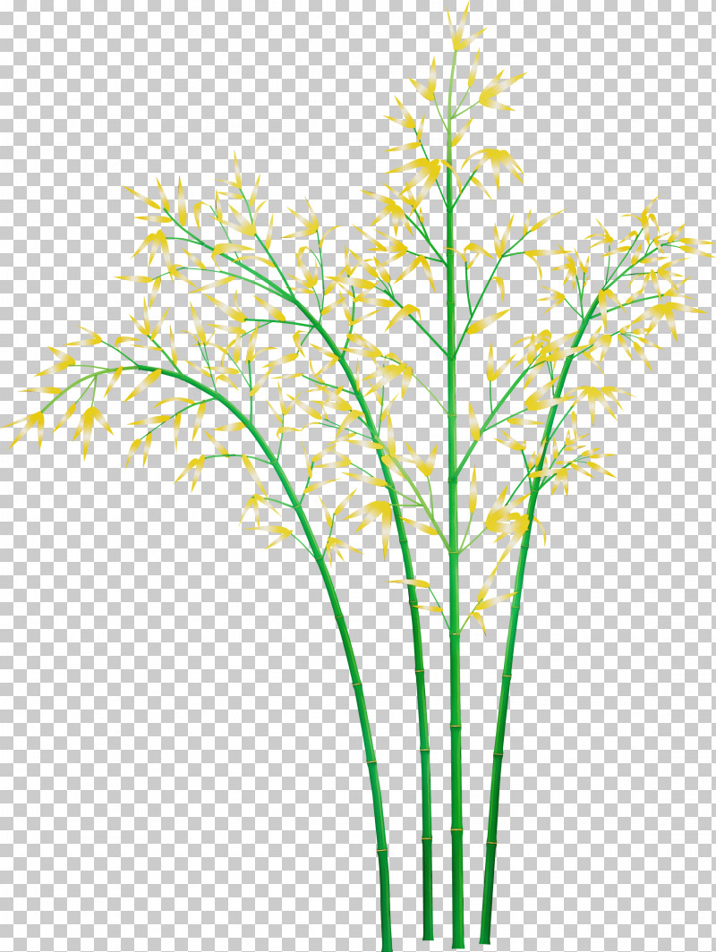 Grass Plant Plant Stem Grass Family Leaf PNG, Clipart, Bamboo, Flower, Grass, Grass Family, Leaf Free PNG Download