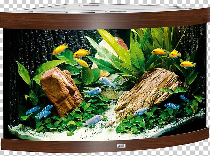 Aquarium Filters Goldfish Juwel Heater PNG, Clipart, Aquarium, Aquarium Decor, Aquarium Filters, Aquarium Lighting, Aquatic Plant Free PNG Download