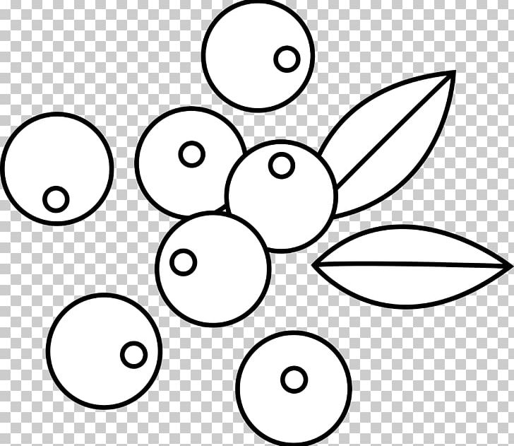 Blueberry Drawing PNG, Clipart, Angle, Area, Berries, Berry, Black Free PNG Download