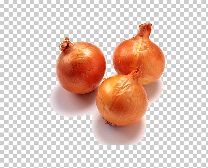 Borscht Onion Pickled Cucumber Vegetable Garlic PNG, Clipart, Borscht, Bouquet Garni, Common Bean, Food, Fruit Free PNG Download