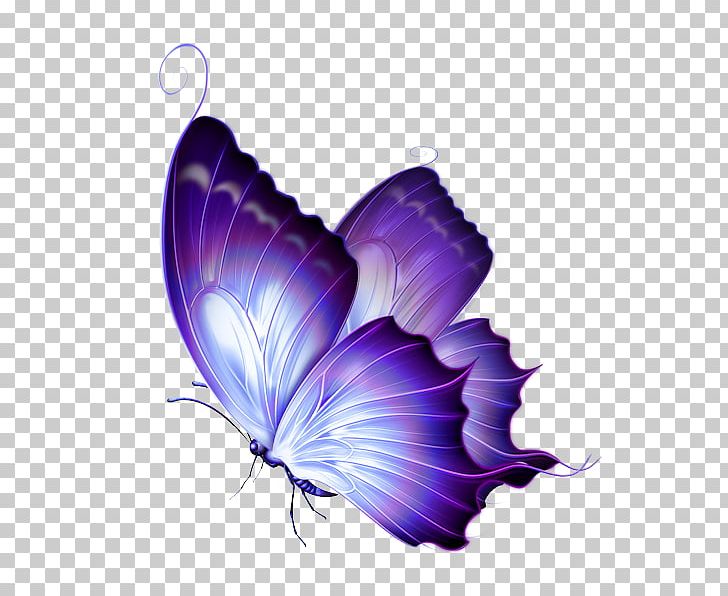 Butterfly Gardening PNG, Clipart, Art, Arthropod, Biological Life Cycle, Butterflies And Moths, Butterfly Free PNG Download