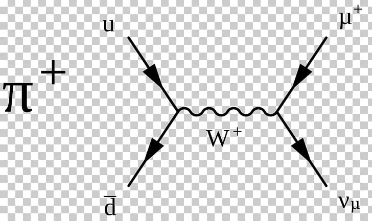 Pion Weak Interaction Meson Feynman Diagram Particle Decay PNG, Clipart, Angle, Area, Black, Black And White, Boson Free PNG Download