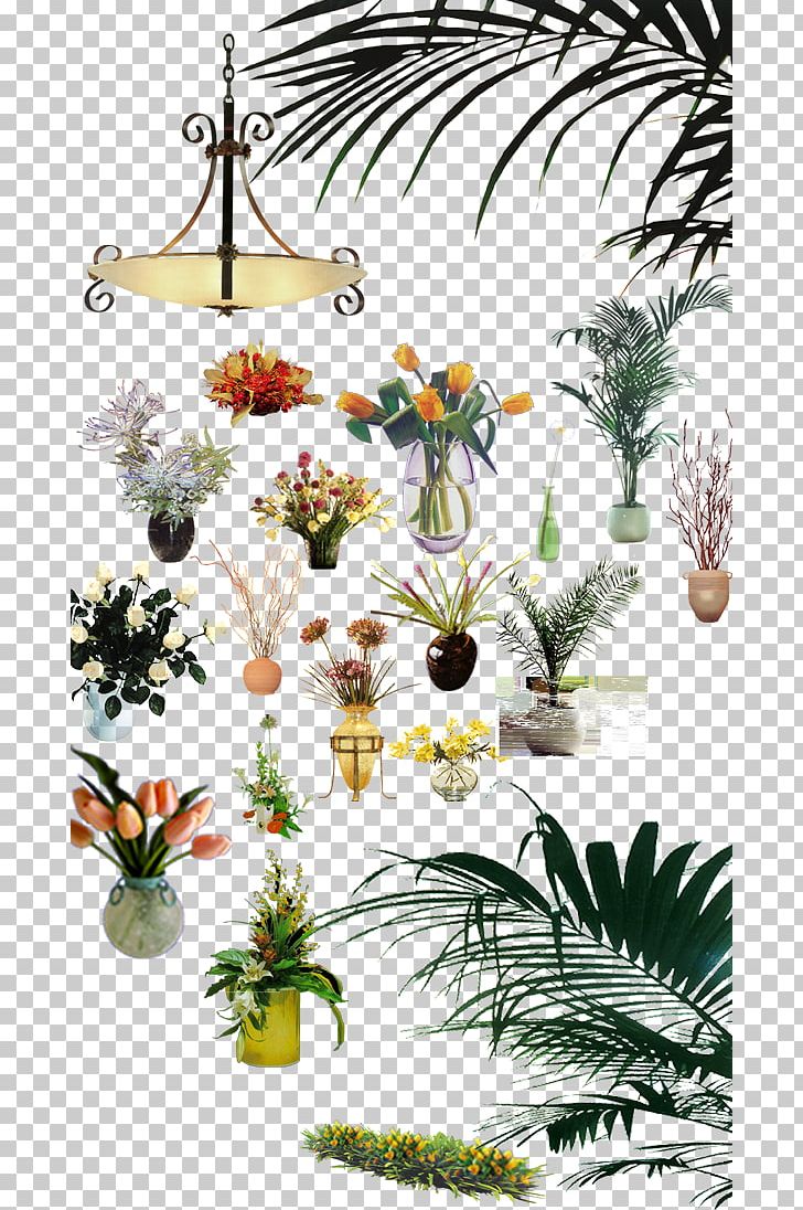 Plant Designer Floral Design PNG, Clipart, Branch, Chair, Couch, Download, Flora Free PNG Download