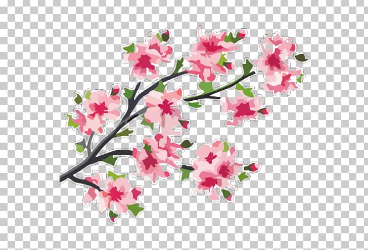 Cherry Blossom Branch Tree PNG, Clipart, Azalea, Blossom, Branch, Cherry, Cherry Blossom Free PNG Download