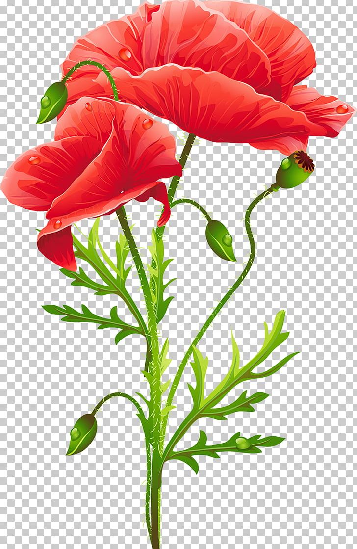 Common Poppy Watercolor Painting Vase With Red Poppies PNG, Clipart, Common Poppy, Coquelicot, Cut Flowers, Floral Design, Flower Free PNG Download
