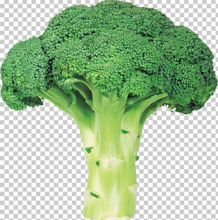 Broccoli Slaw Vegetable PNG, Clipart, Beetroot, Broccoli, Broccoli Slaw, Computer Icons, Encapsulated Postscript Free PNG Download