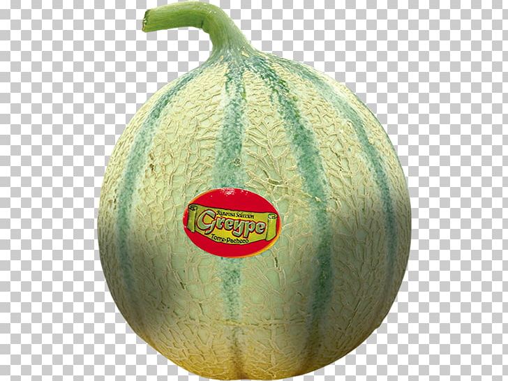 Honeydew Cantaloupe Charentais Melon Galia Melon Santa Claus Melon PNG, Clipart, Auglis, Cantaloupe, Charentais Melon, Cucumber Gourd And Melon Family, Cucumis Free PNG Download