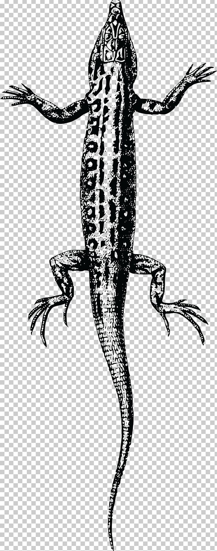 Lizard Reptile PNG, Clipart, Amphibian, Animal, Animals, Art, Black And White Free PNG Download