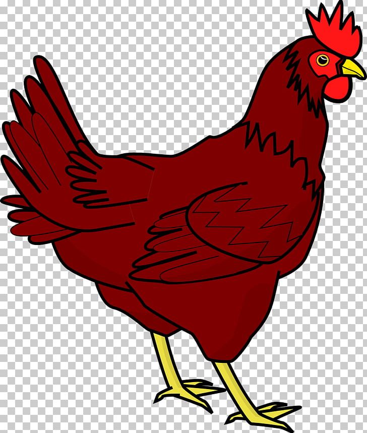 Chicken Meat Rooster PNG, Clipart, 2017 Big Cock, Animals, Art, Badminton Shuttle Cock, Beak Free PNG Download