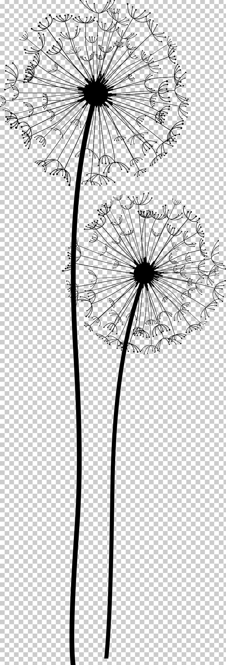 Common Dandelion Taraxacum Platycarpum Euclidean PNG, Clipart, Artwork, Black, Black And White, Branch, Dandelion Flower Free PNG Download