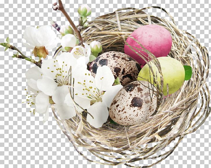 Egg Nest Easter PNG, Clipart, Animals, Basket, Bird Nest, Broken Egg, Brown Free PNG Download