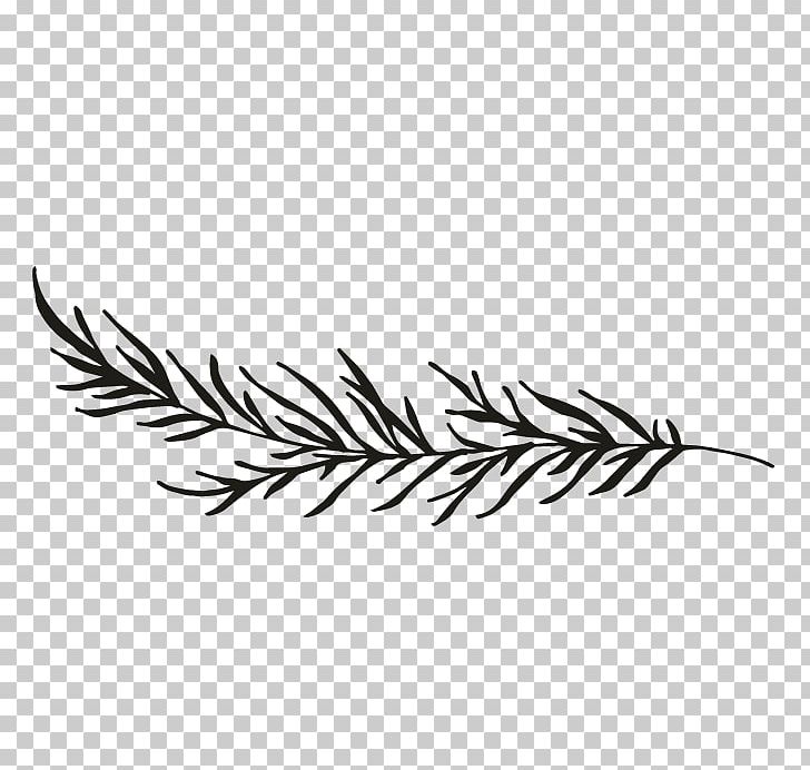 Branch Black And White Twig Drawing PNG, Clipart, Bird, Black And White, Borders, Branch, Clip Art Free PNG Download