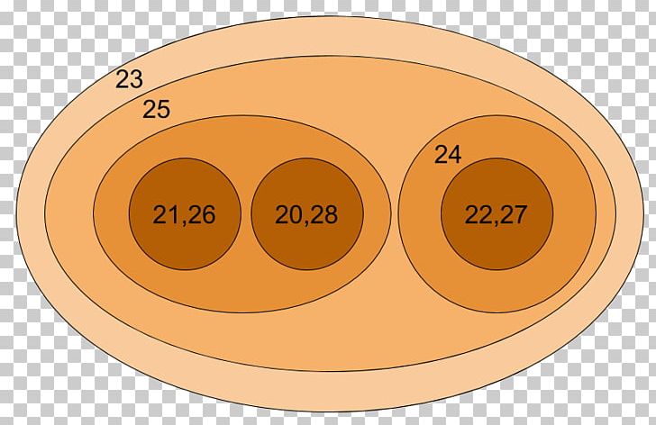 Dendrogram Hierarchical Clustering Visualization PNG, Clipart, Art, Circle, Cluster Analysis, Craft, Dendrogram Free PNG Download