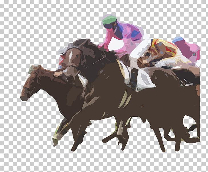 Horse Racing Professional Sports Athlete Football Player PNG, Clipart, Animal Sports, Equestrian, Equestrian Sport, Football Player, High Performance Sport Free PNG Download
