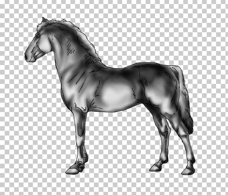 Mustang Mane Stallion Mare Foal PNG, Clipart, Black, Black And White, Deviantart, Foal, Grayscale Free PNG Download