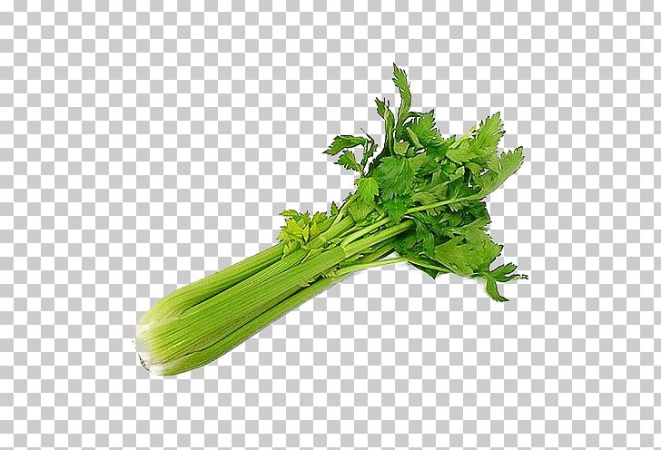 Wild Celery Organic Food Vegetable Salad PNG, Clipart, 500 X, Asparagus, Beetroot, Cauliflower, Celery Free PNG Download
