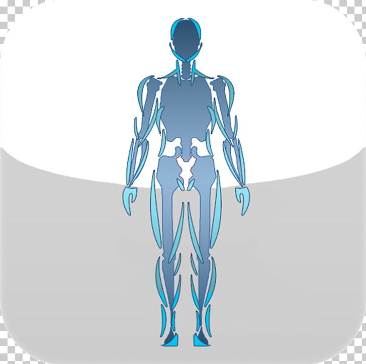 Arm Human Body Graphic Design Hip Joint PNG, Clipart, Arm, Fictional Character, Graphic Design, Hip, Homo Sapiens Free PNG Download