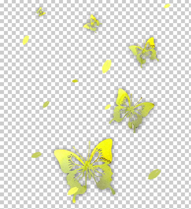 Butterfly Icon PNG, Clipart, Butterfly Vector, Decorative, Designer, Download, Euclidean Vector Free PNG Download