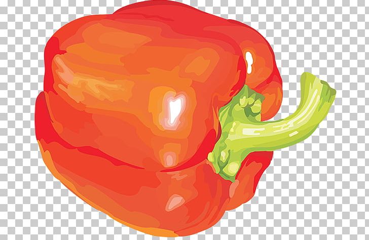 Game Capsicum Annuum Child Garden Radish PNG, Clipart, Bell Pepper, Bell Peppers And Chili Peppers, Cauliflower, Cayenne Pepper, Child Free PNG Download